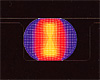 Stress Distribution(After transformation)