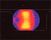 Stress Distribution(During transformation)