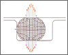 Resistance Distribution(After transformation)